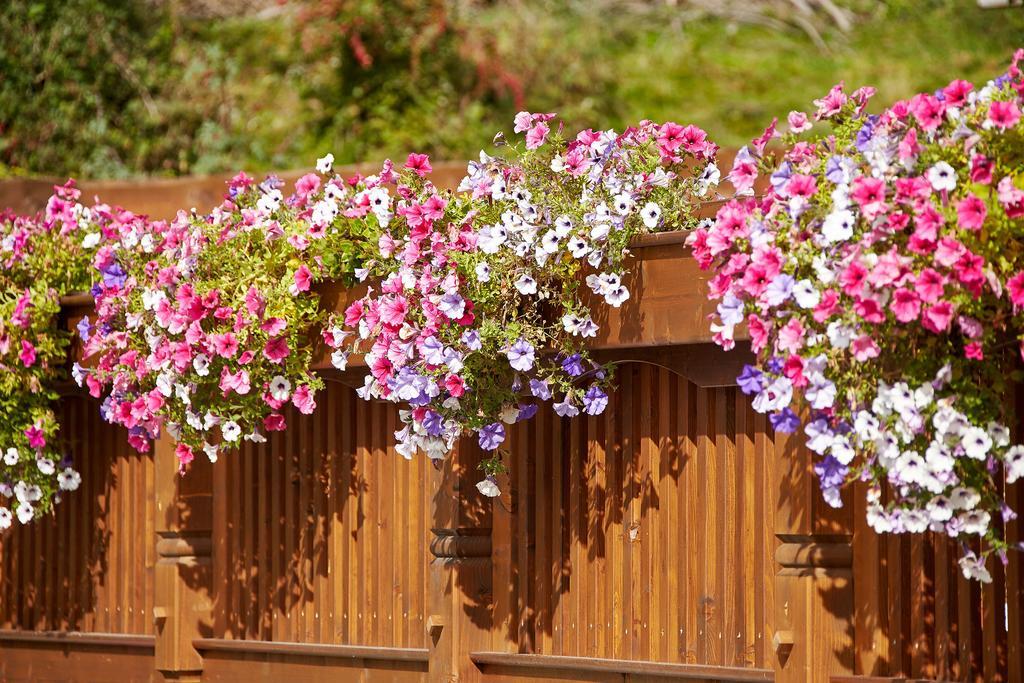Appartement Gaestehaus Bergkristall เซิลเดน ภายนอก รูปภาพ